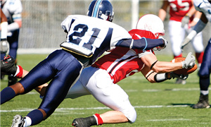 橄欖球人造草坪系統